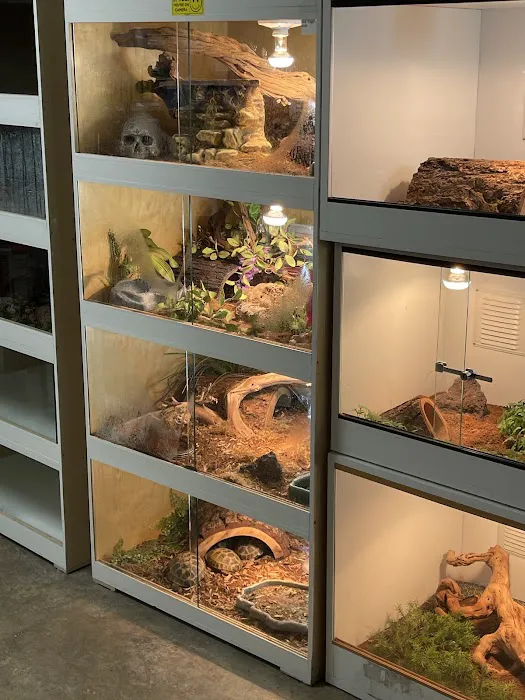 High Desert Pet Shop 12