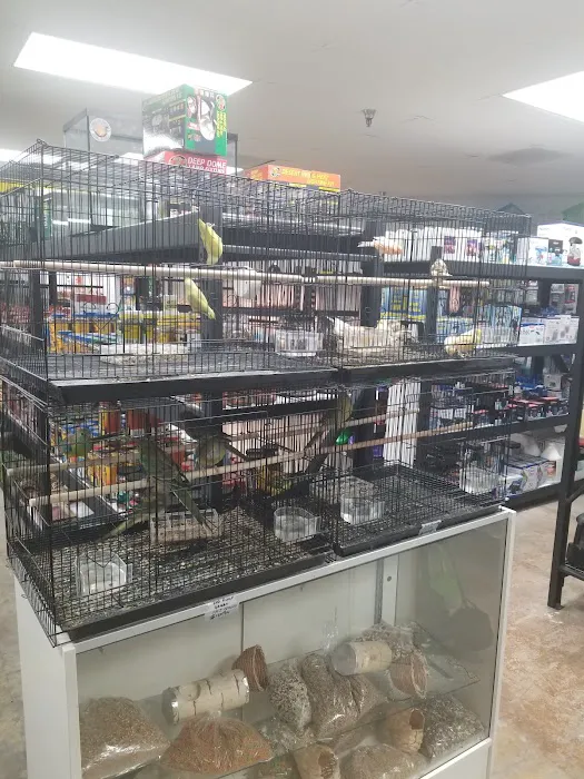High Desert Pet Shop 12