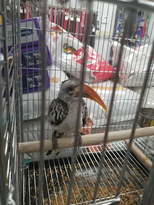 High Desert Pet Shop 12