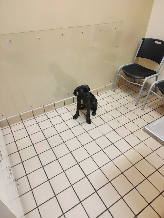 McAdory Veterinary Clinic 12