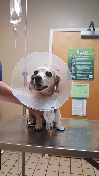 McAdory Veterinary Clinic 12