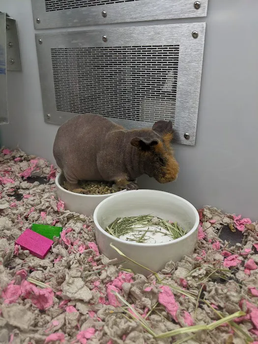 Petco 6