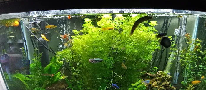 Extreme Marine 5