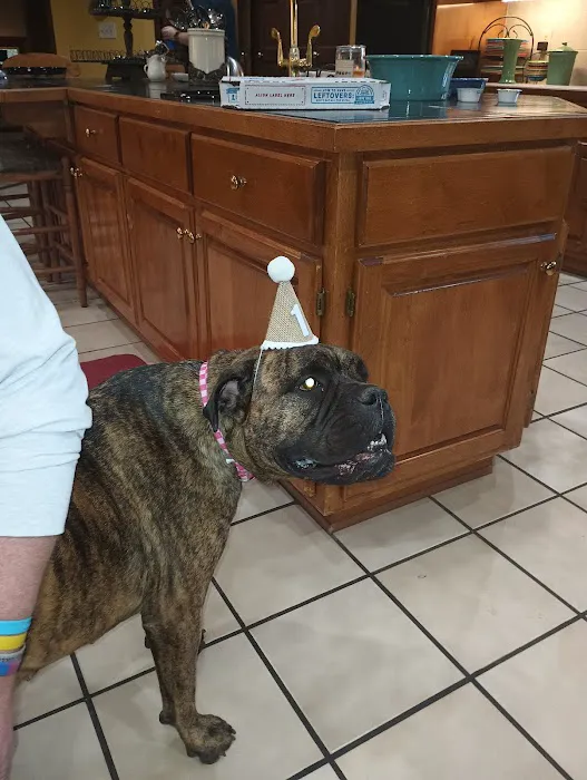 Hueytown Veterinary Clinic & Pet Lodge 12