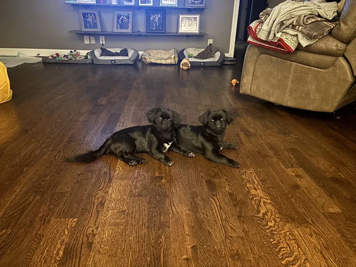 Hueytown Veterinary Clinic & Pet Lodge 12