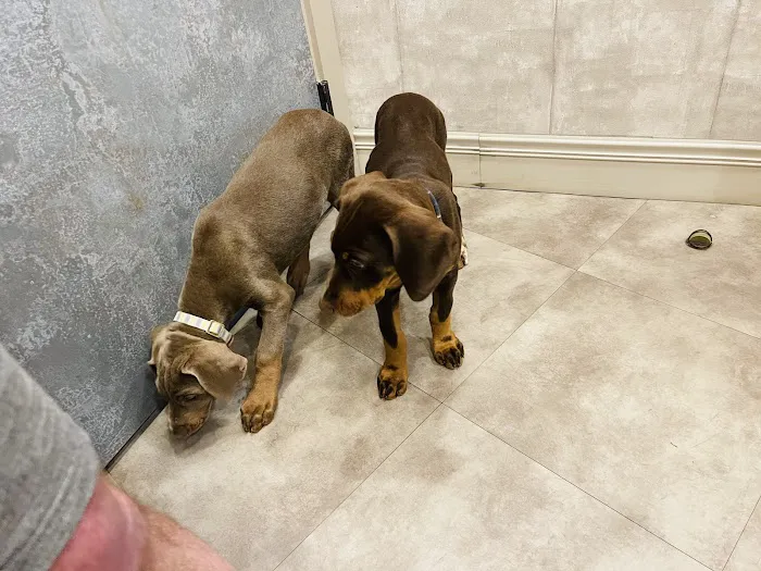 Hueytown Veterinary Clinic & Pet Lodge 12