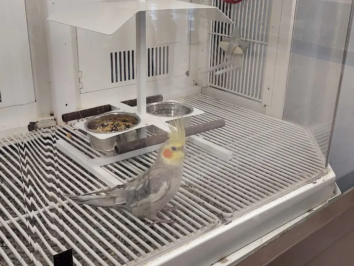 Petco 9
