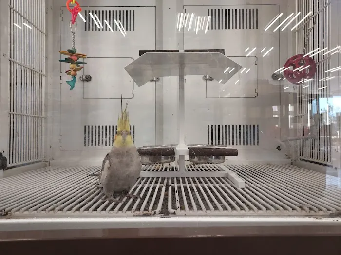 Petco 7