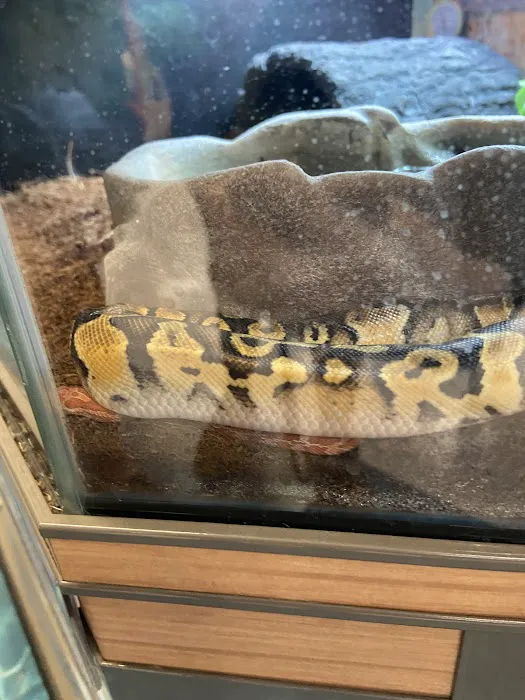 Petco 5
