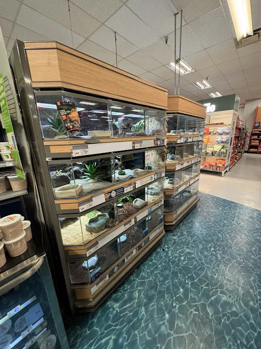 Petco 2