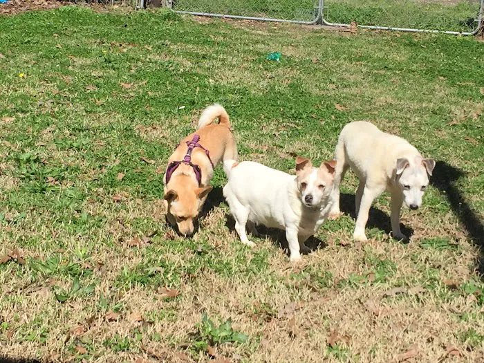 Midfield Animal Clinic 12