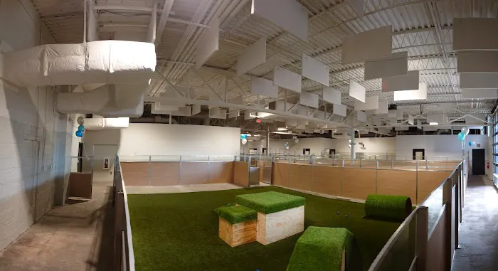 Birmingham Animal Hospital + Resort 12