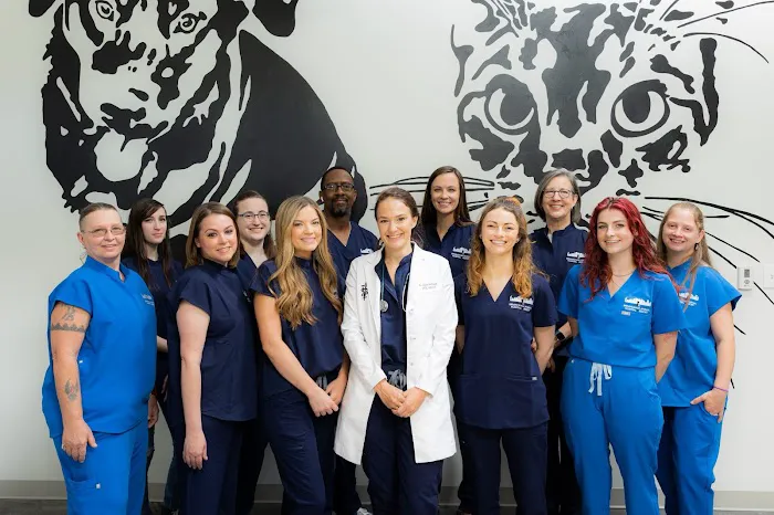 Birmingham Animal Hospital + Resort 12