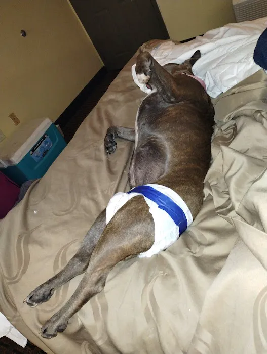 Batesburg-Leesville Animal Hospital 12