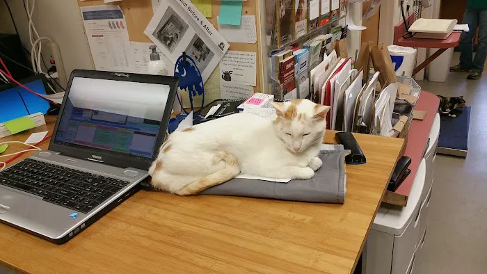 Batesburg-Leesville Animal Hospital 12