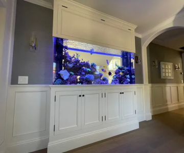 Reliant Aquarium Design