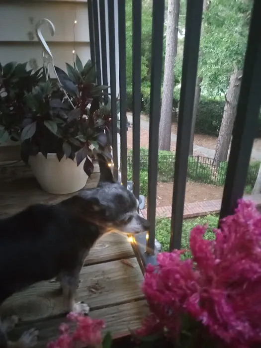 Chapin Veterinary Care Center 12