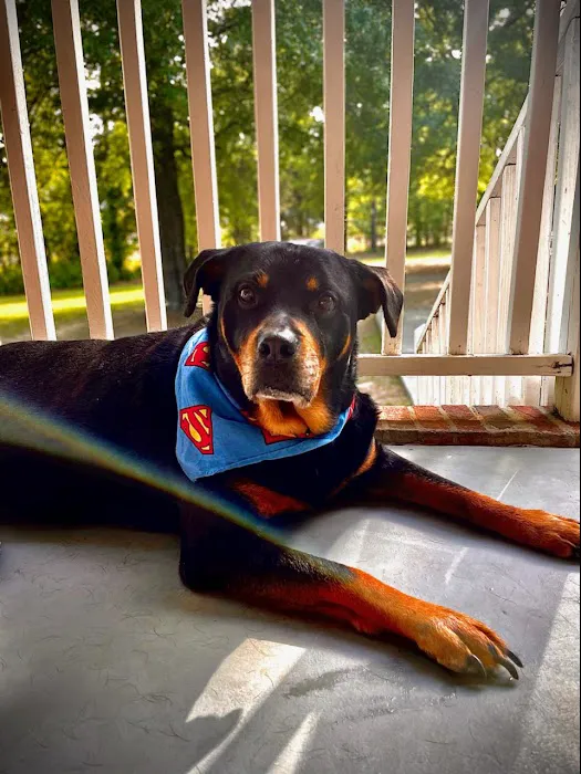 Chapin Veterinary Care Center 12