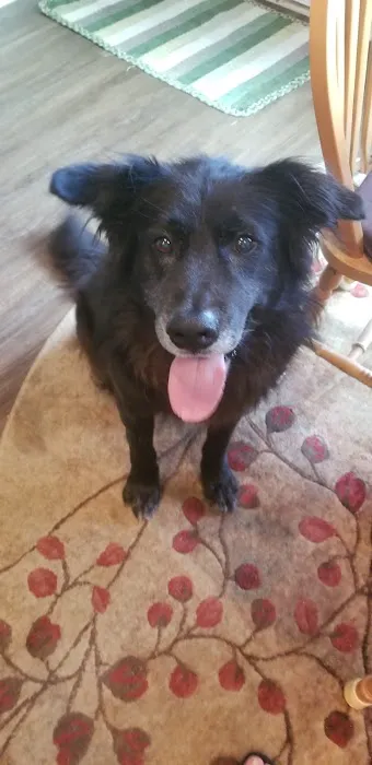 Chapin Veterinary Care Center 12