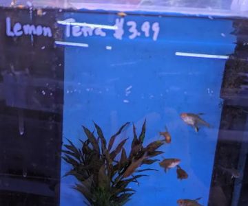 Aquatic Warehouse