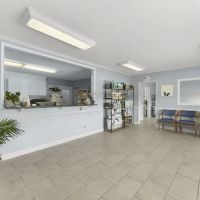 Lake Town Animal Hospital ico