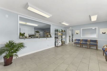 Lake Town Animal Hospital