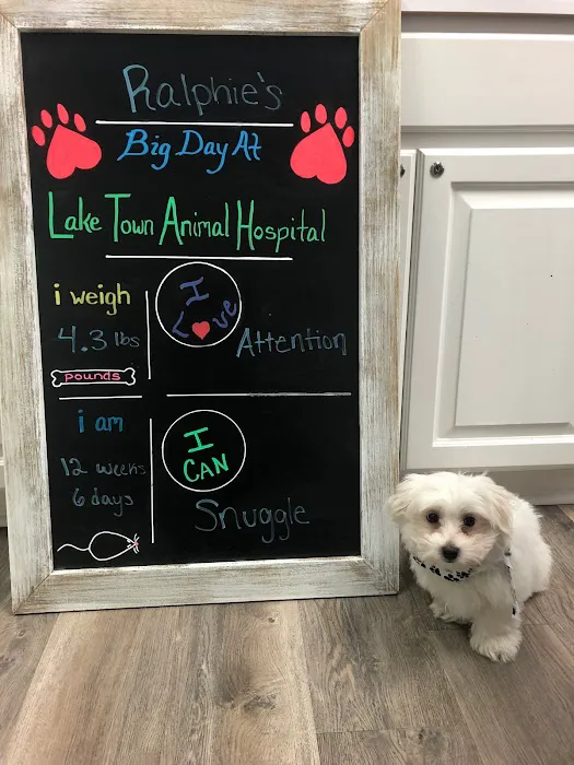 Lake Town Animal Hospital 12