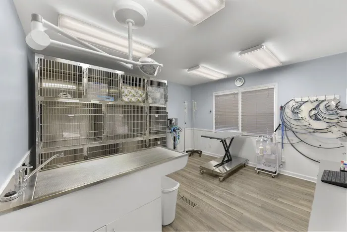 Lake Town Animal Hospital 12