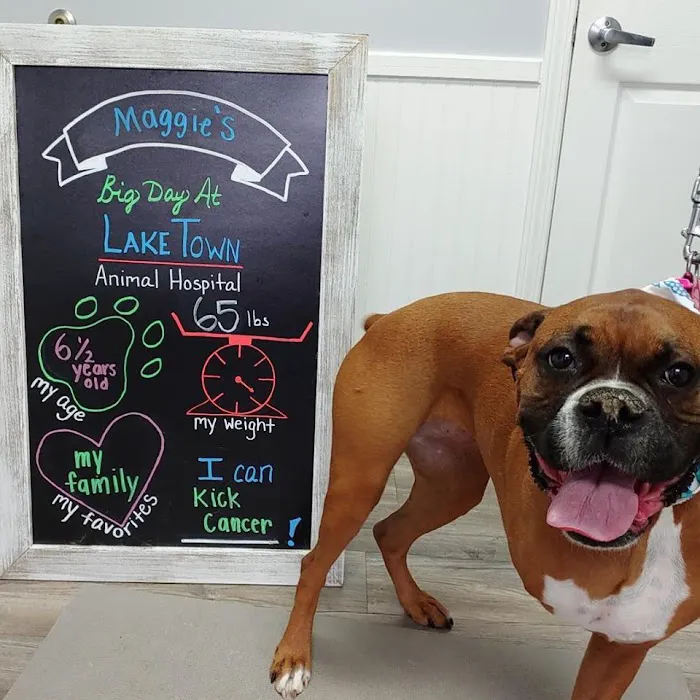 Lake Town Animal Hospital 12