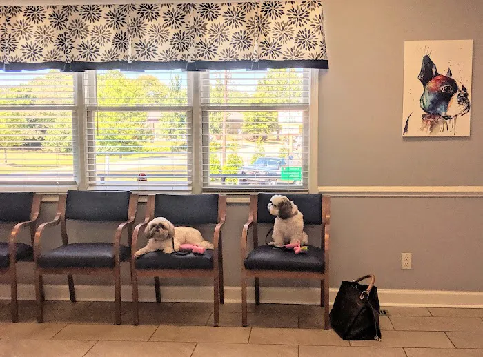 Lake Town Animal Hospital 12