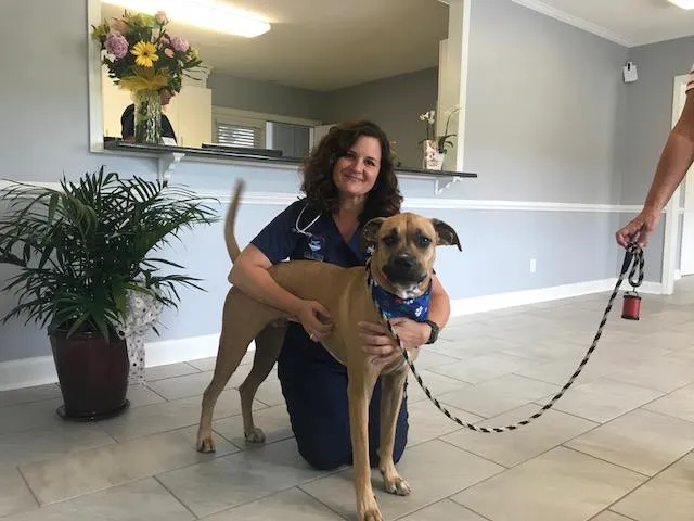 Lake Town Animal Hospital 12