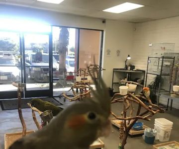 BirdSmart
