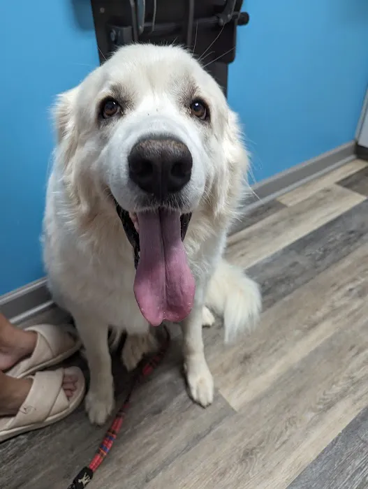 Chapin Veterinary Hospital 12