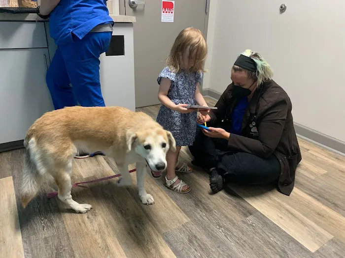 Chapin Veterinary Hospital 12