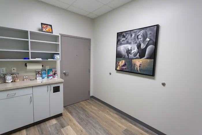 Chapin Veterinary Hospital 12
