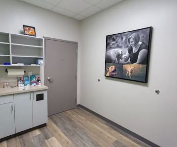 Chapin Veterinary Hospital