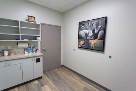 Chapin Veterinary Hospital