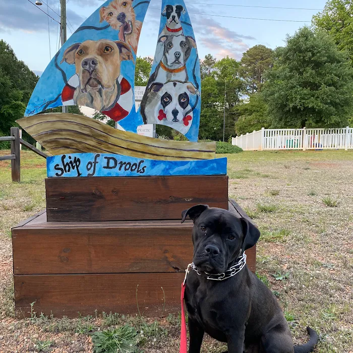 Chapin Veterinary Hospital 12