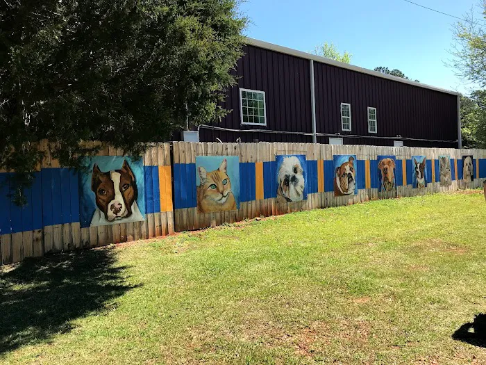 Chapin Veterinary Hospital 12
