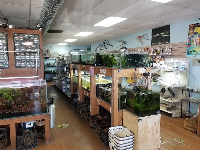 Pet Zone Tropical Fish 7