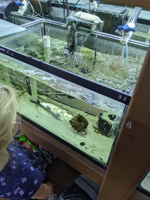 Pet Zone Tropical Fish 8