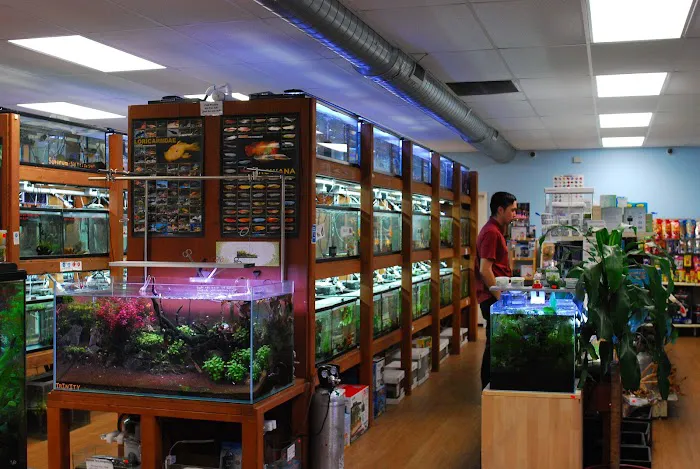 Pet Zone Tropical Fish 6