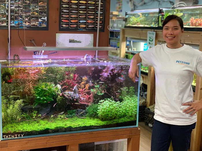 Pet Zone Tropical Fish 10
