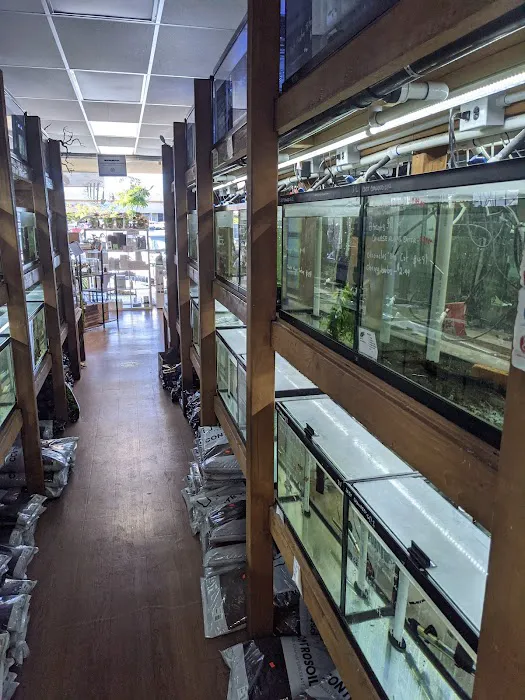 Pet Zone Tropical Fish 4