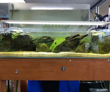 Aquascape Supply Co.