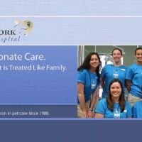 Emily Johnson DVM ico