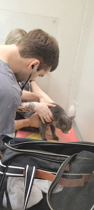 Southshore Animal Hospital at Frenchman's Creek 2