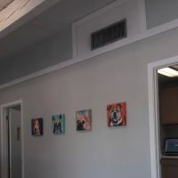 Southshore Animal Hospital at Frenchman's Creek ico