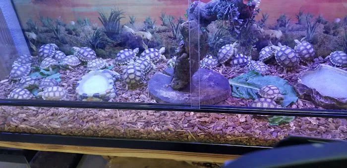 Wow Fish and Pet ( Aquarium ) 12