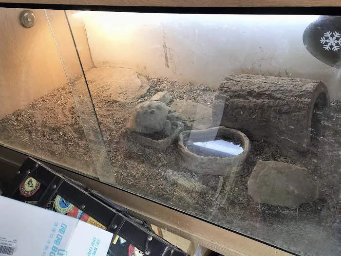 Wow Fish and Pet ( Aquarium ) 12